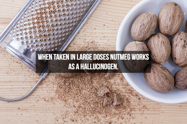 nutmeg benefits of hair - When Taken In Large Doses Nutmeg Works As A Hallucinogen.