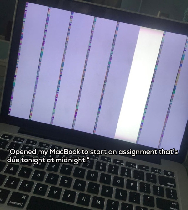 display device - "Opened my MacBook to start an assignment that's command