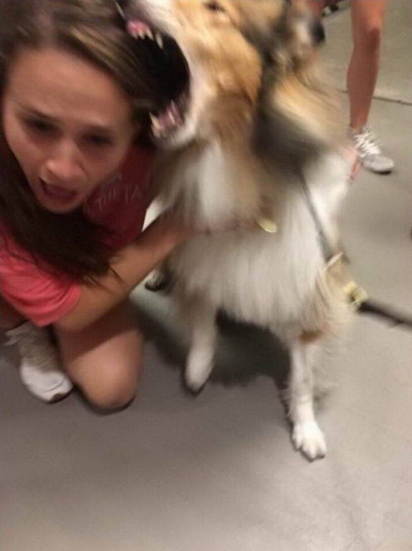 reveille attacks sorority girl