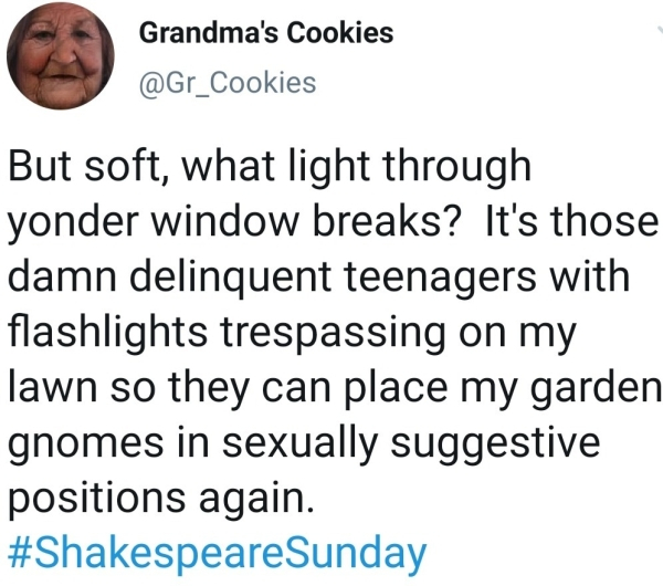 kid gets suspended for saying bless you - Grandma's Cookies But soft, what light through yonder window breaks? It's those damn delinquent teenagers with flashlights trespassing on my lawn so they can place my garden gnomes in sexually suggestive positions