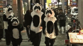 There is panda porn. Since it has been very hard for them to reproduce, they have actually made people wear panda costumes and act like they’re having sex to see if the pandas feel more aroused.