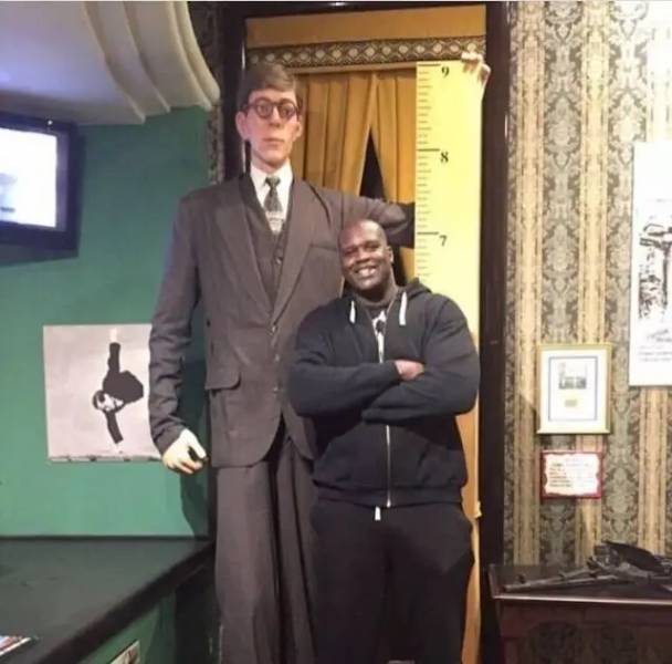 this is how big Shaq is compared to the tallest man that ever lived