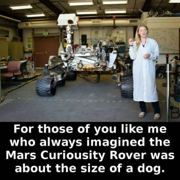 23 Things That Are Larger Than You Think.