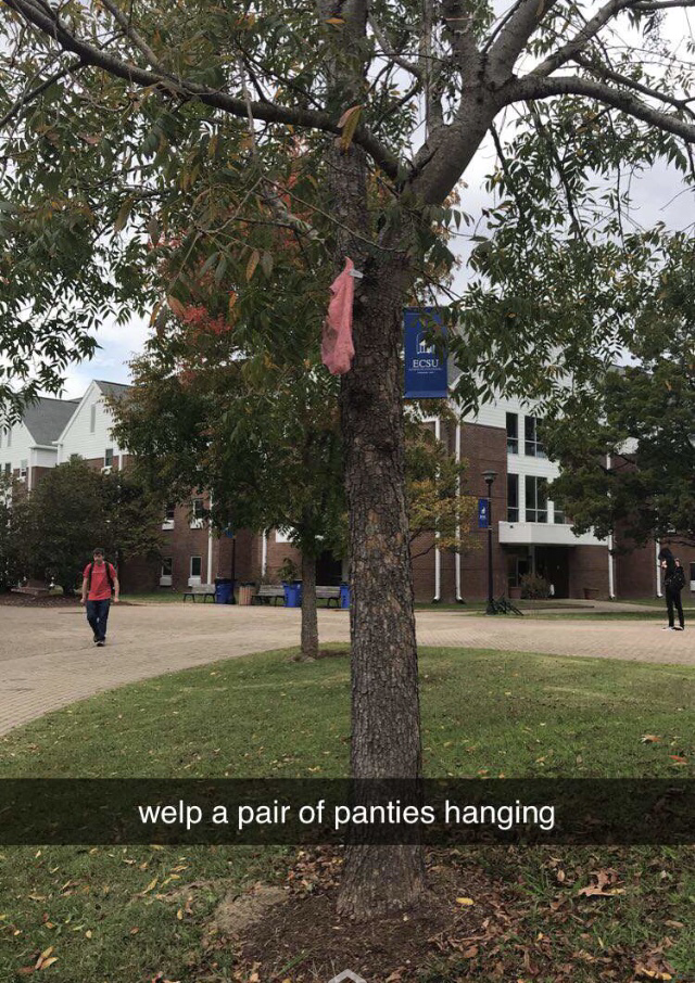 branch - welp a pair of panties hanging