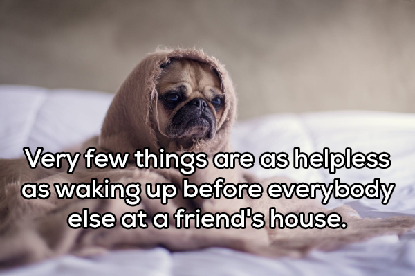 pug - Very few things are as helpless as waking up before everybody else at a friend's house.