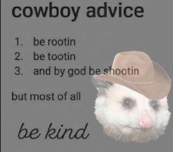 cowboy rules - cowboy advice 1. be rootin 2. be tootin 3. and by god be shootin but most of all be kind