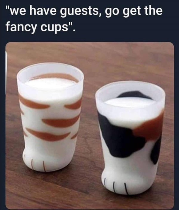 we have guests go get the fancy cups - "we have guests, go get the fancy cups".