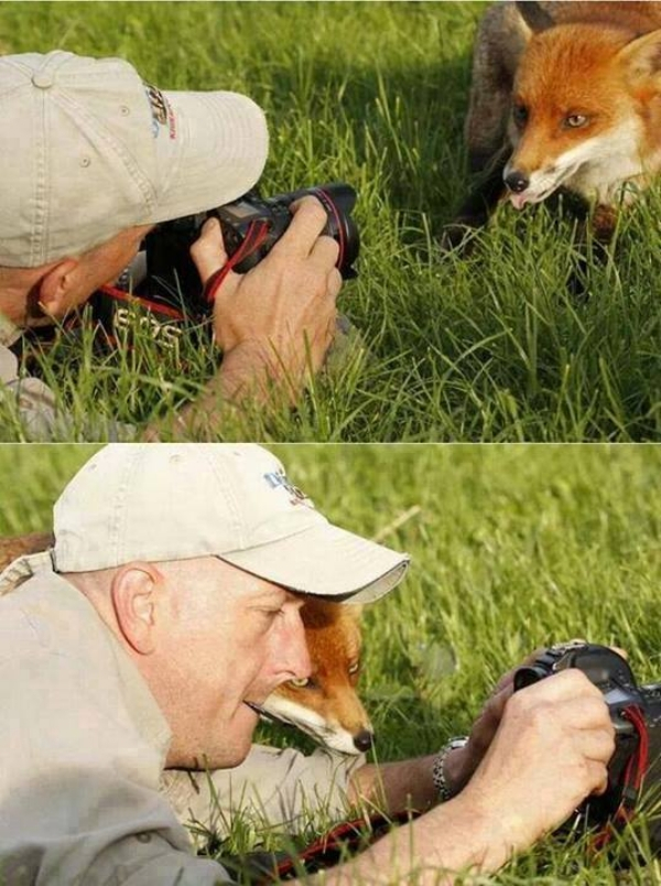 photographs nature funny