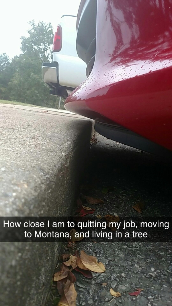depressing not my job memes - How close I am to quitting my job, moving to Montana, and living in a tree