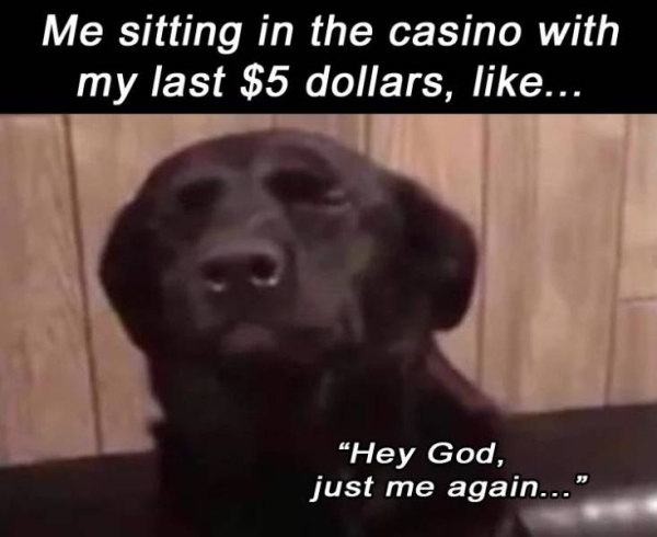 depressing labrador retriever - Me sitting in the casino with my last $5 dollars, ... "Hey God, just me again..."