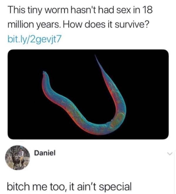 depressing worm hasn t had sex in 18 million years - This tiny worm hasn't had sex in 18 million years. How does it survive? bit.ly2gevjt7 Daniel bitch me too, it ain't special
