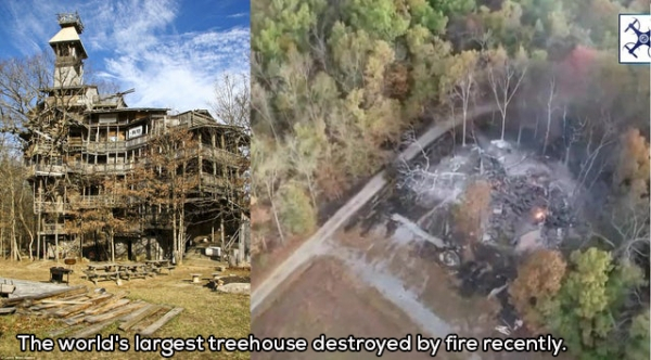 depressing most insane tree houses - The world's largest treehouse destroyed by fire recently