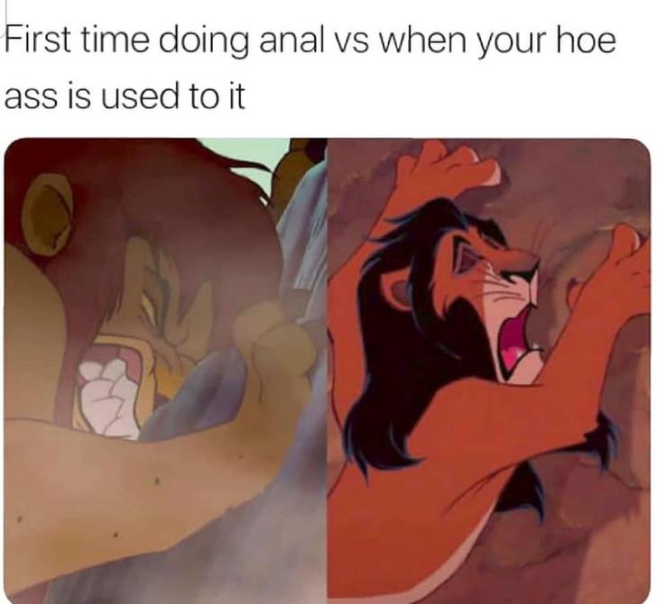bdsm memes - First time doing anal vs when your hoe ass is used to it