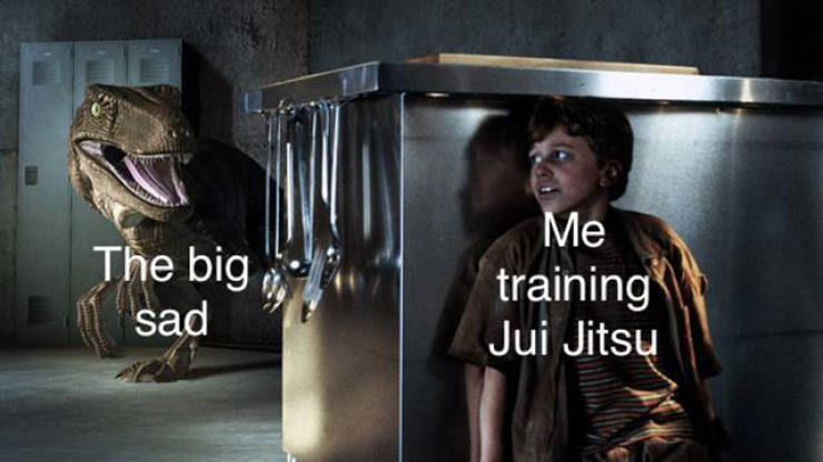 jurassic park raptor kitchen - The big sad Me training Jui Jitsu