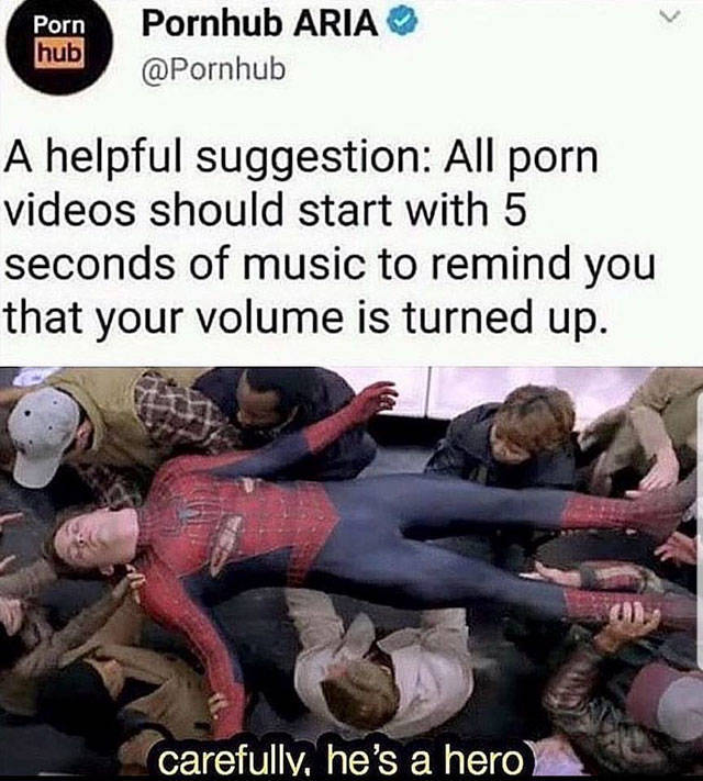 Internet meme - Porn hub Pornhub Aria A helpful suggestion All porn videos should start with 5 seconds of music to remind you that your volume is turned up. carefully, he's a hero