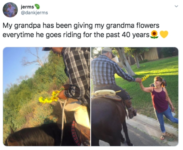 giving flowers meme - jerms My grandpa has been giving my grandma flowers everytime he goes riding for the past 40 years