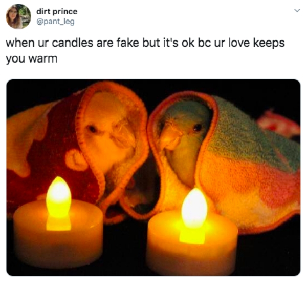 your candles are fake but your love keeps you warm - dirt prince when ur candles are fake but it's ok bc ur love keeps you warm
