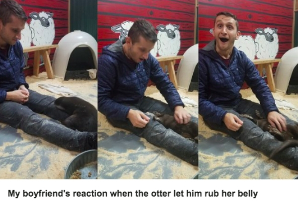 rubbing boyfriend's belly - My boyfriend's reaction when the otter let him rub her belly