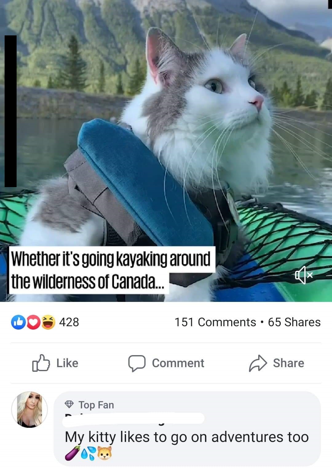 photo caption - Whether it's going kayaking around the wilderness of Canada.. 008 428 151 65 DComment Top Fan My kitty to go on adventures too