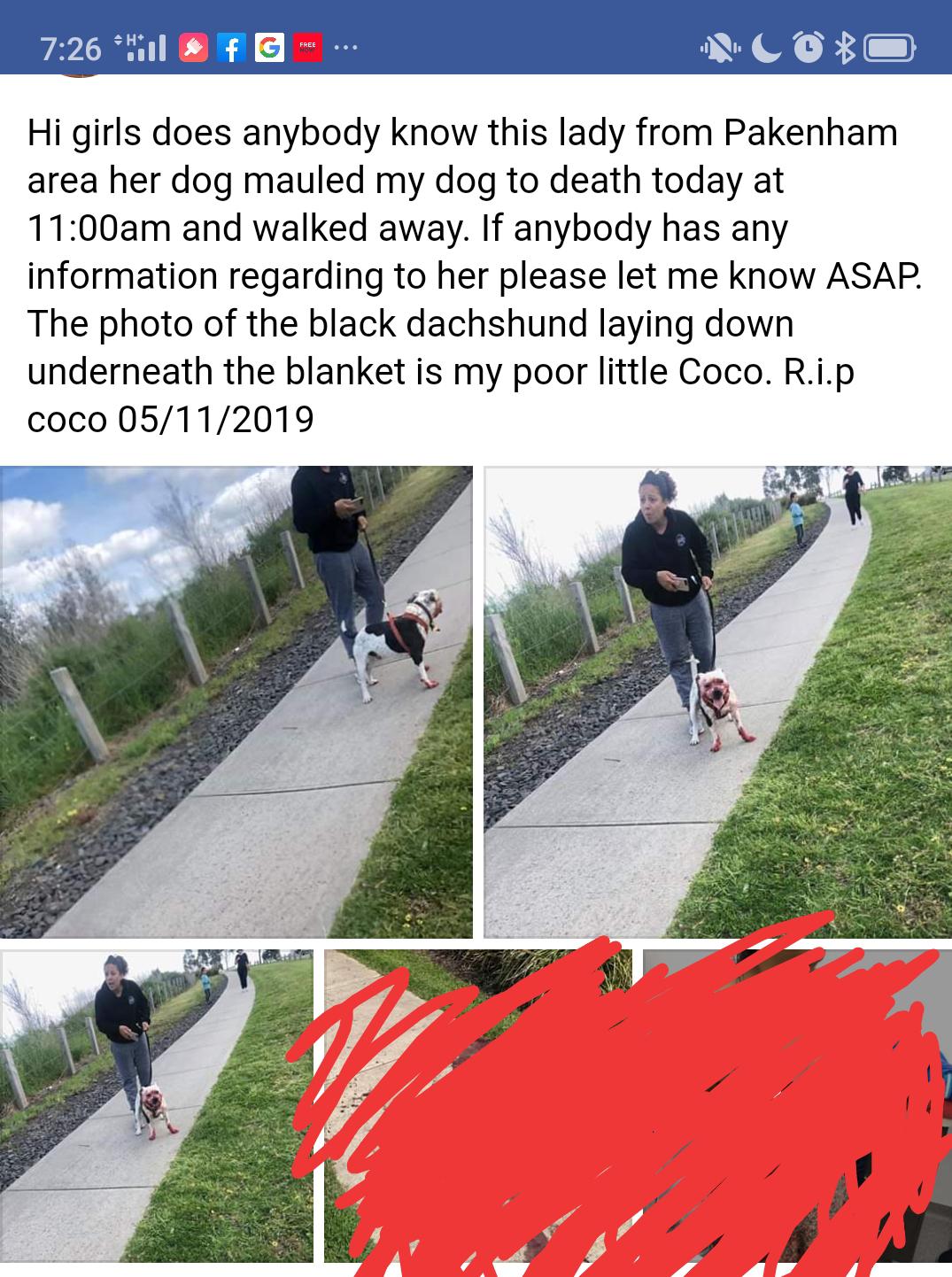 asphalt - Hill f G ... Hi girls does anybody know this lady from Pakenham area her dog mauled my dog to death today at am and walked away. If anybody has any information regarding to her please let me know Asap. The photo of the black dachshund laying dow