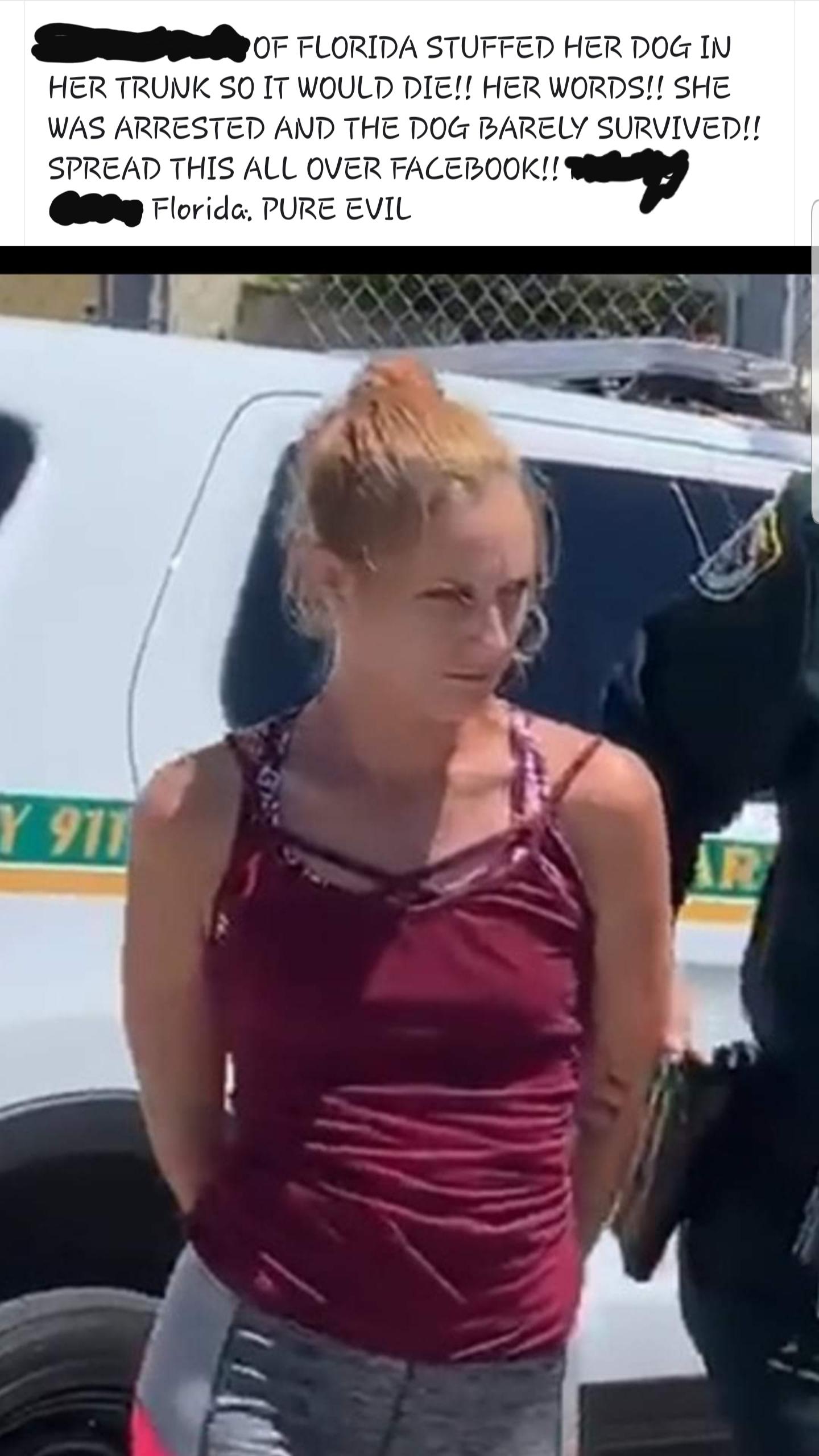 sarah perry arrested - Of Florida Stuffed Her Dog In Her Trunk So It Would Die!! Her Words!! She Was Arrested And The Dog Barely Survived!! Spread This All Over Facebook!! Florida Pure Evil Y 977
