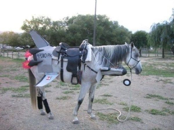 horse airplane costume