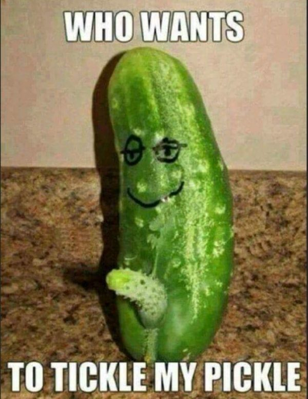 funny nasty - Who Wants To Tickle My Pickle