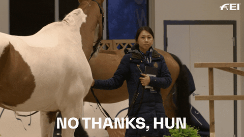 horse thank you gif - Fei No Thanks, Hun