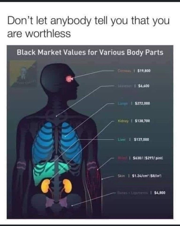 don t let anyone tell you you re worthless meme - Don't let anybody tell you that you are worthless Black Market Values for Various Body Parts Geri | $19,800 ik een $6,600 Lange $272,000 dney | $130,700 Lives | $137,000 $630 15297 pint! Skin | $1.24cm $8i