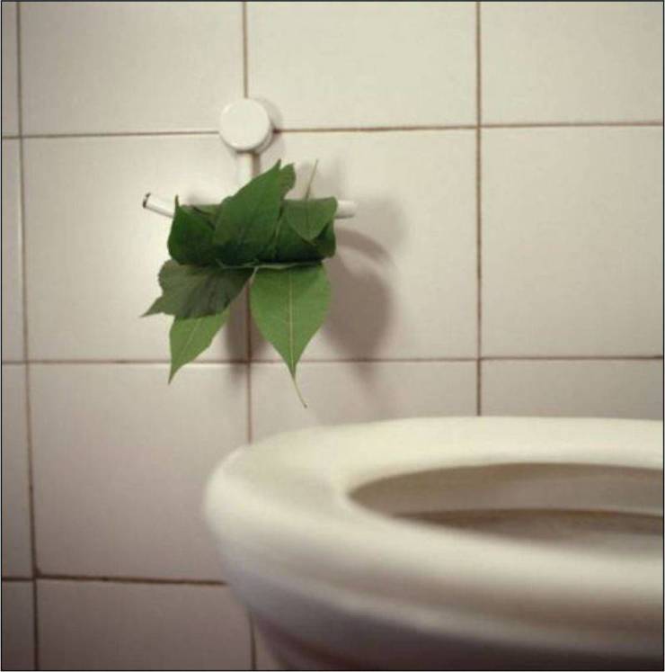 natural toilet paper