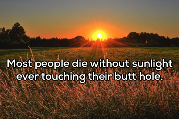 morning sunshine - Most people die without sunlight ever touching their butt hole.