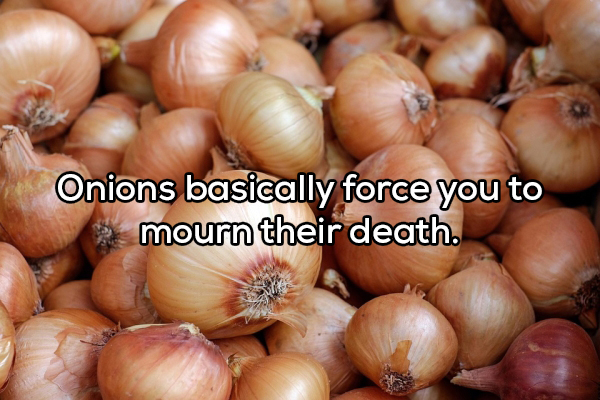 onion local - Onions basically force you to mourn their death.