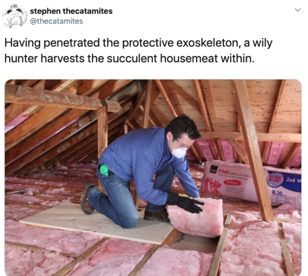 house meat - stephen thecatamites Having penetrated the protective exoskeleton, a wily hunter harvests the succulent housemeat within. Pink