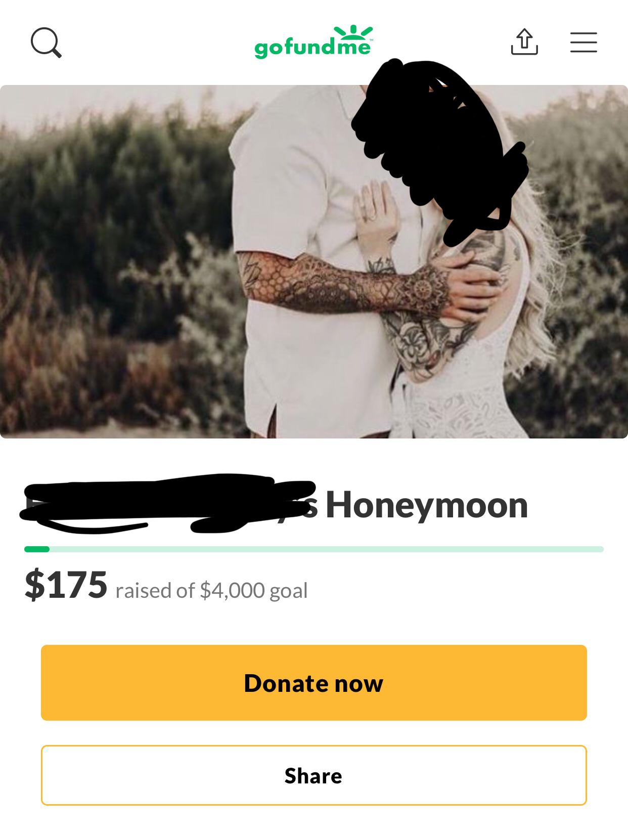 website - gofundme Honeymoon $175 raised of $4,000 goal Donate now