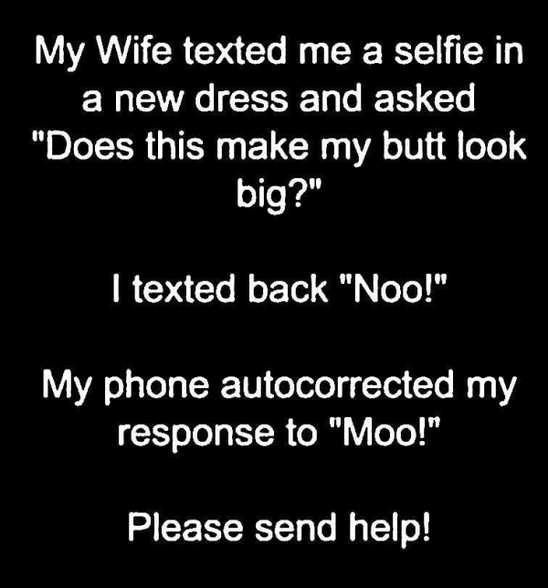 funny jokes inappropriate jokes - My Wife texted me a selfie in a new dress and asked "Does this make my butt look big?" I texted back "Noo!" My phone autocorrected my response to "Moo! Please send help!
