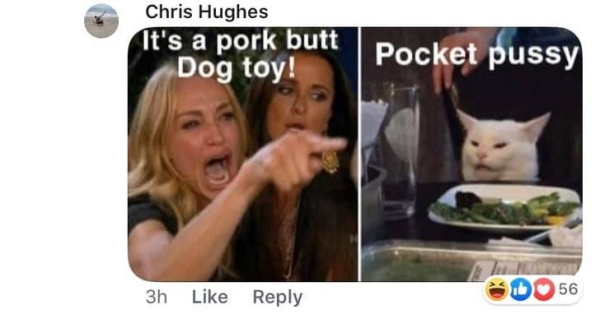 woman and cat meme - Chris Hughes It's a pork butt Dog toy! Pocket pussy 3h Edo 56