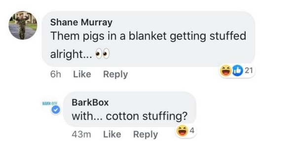 material - Shane Murray Them pigs in a blanket getting stuffed alright... 6h 21 BarkBox with... cotton stuffing? 43m 4