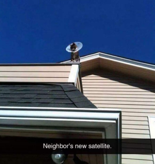 Neighbor's new satellite.