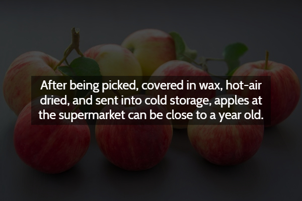 natural foods - After being picked, covered in wax, hotair dried, and sent into cold storage, apples at the supermarket can be close to a year old.