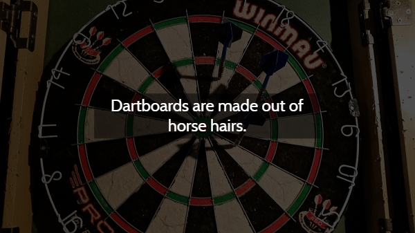 darts - Juidina Dartboards are made out of horse hairs.