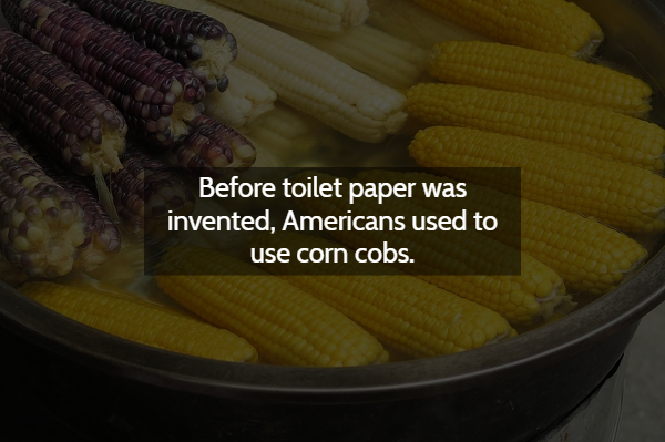 corn on the cob - Before toilet paper was invented, Americans used to use corn cobs.