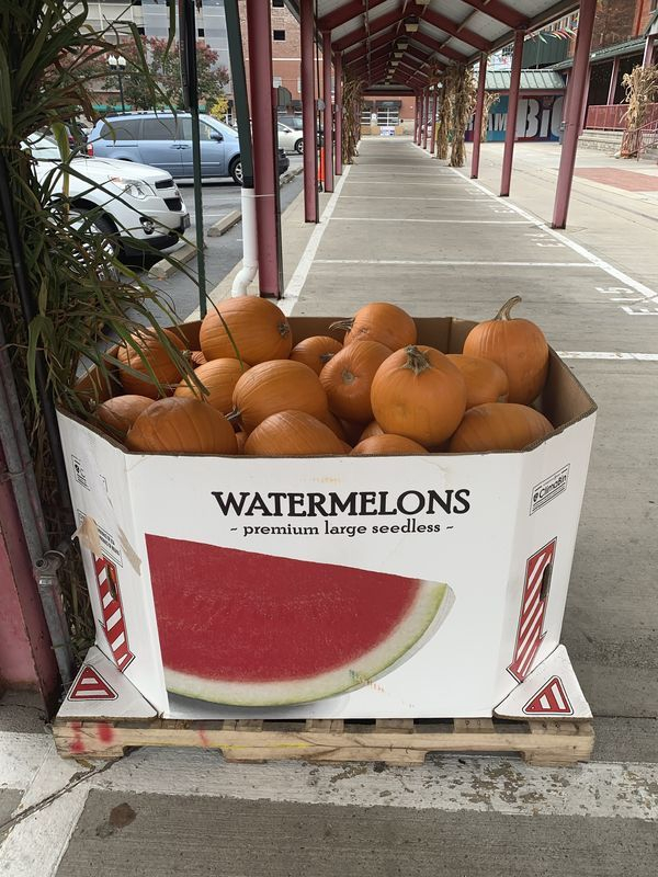 fruit - An Watermelons premium large seedless