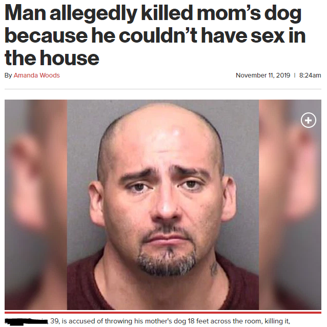 photo caption - Man allegedly killed mom's dog because he couldn't have sex in the house By Amanda Woods 1 am 39. is accused of throwing his mother's dog 18 feet across the room, killing it.