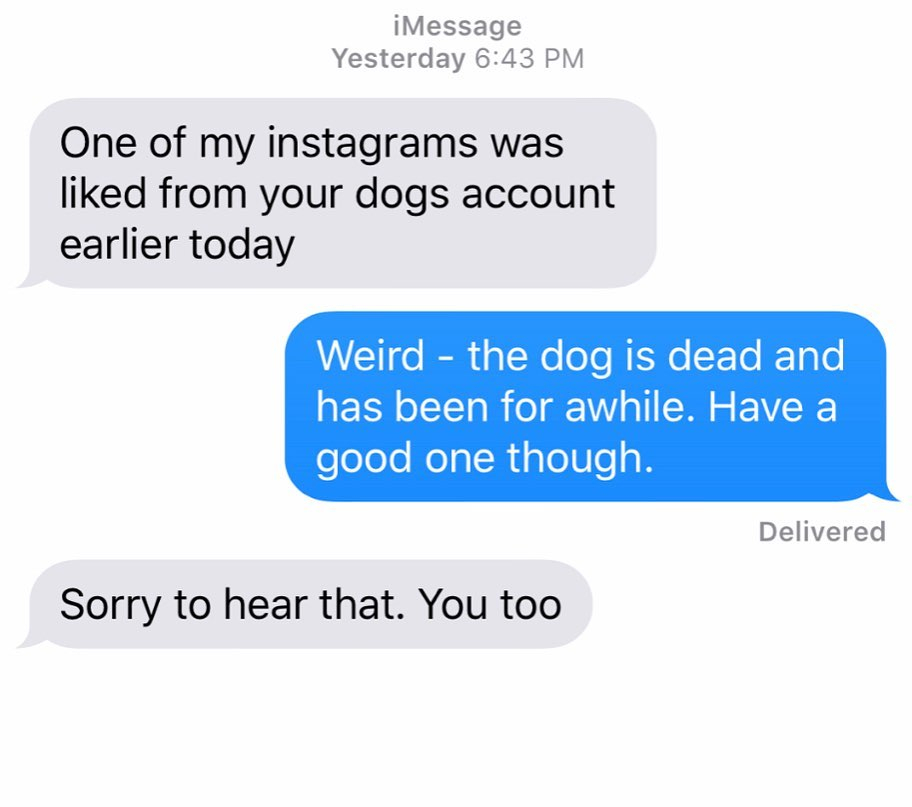rude texts - iMessage Yesterday One of my instagrams was d from your dogs account earlier today Weird the dog is dead and has been for awhile. Have a good one though. Delivered Sorry to hear that. You too