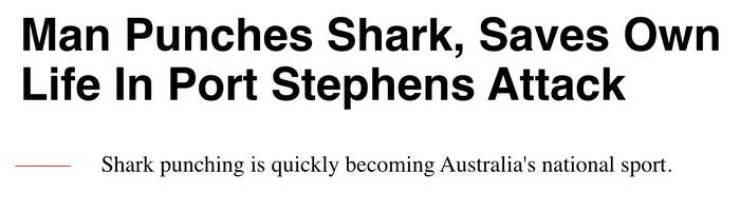 handwriting - Man Punches Shark, Saves Own Life In Port Stephens Attack Shark punching is quickly becoming Australia's national sport.