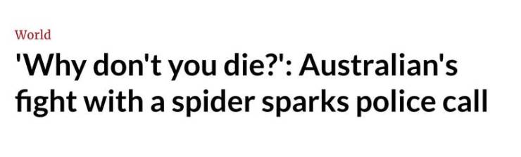 number - World 'Why don't you die?' Australian's fight with a spider sparks police call