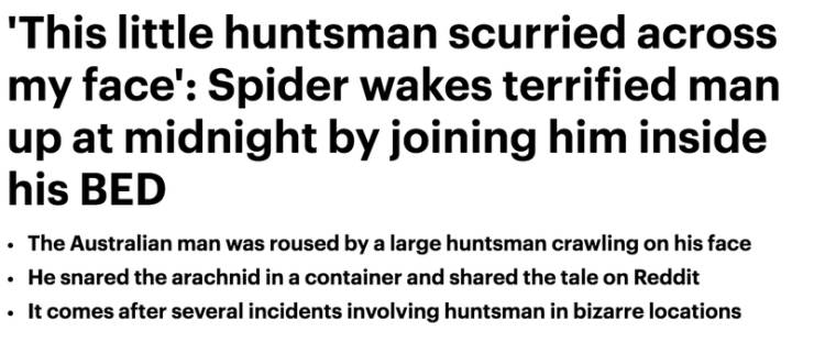 handwriting - 'This little huntsman scurried across my face' Spider wakes terrified man up at midnight by joining him inside his Bed The Australian man was roused by a large huntsman crawling on his face He snared the arachnid in a container and d the tal