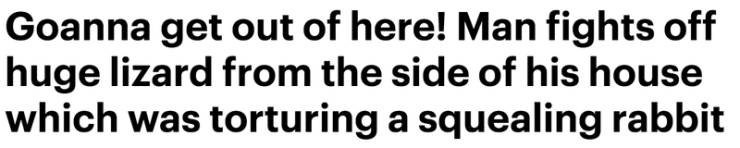 quotes about life - Goanna get out of here! Man fights off huge lizard from the side of his house which was torturing a squealing rabbit