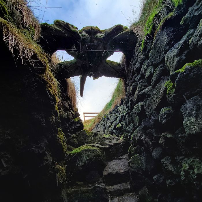 ancient whale bone over well