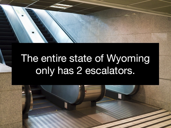 came - The entire state of Wyoming only has 2 escalators.